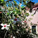 아파트 Venetian Well Cozy Corfu Old Town *