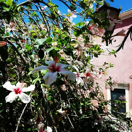 아파트 Venetian Well Cozy Corfu Old Town *