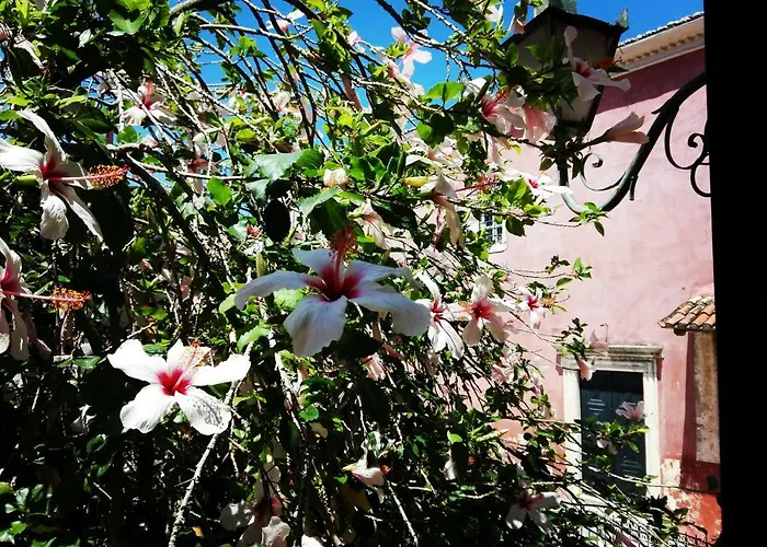 Apartment Venetian Well Cozy Corfu Old Town *